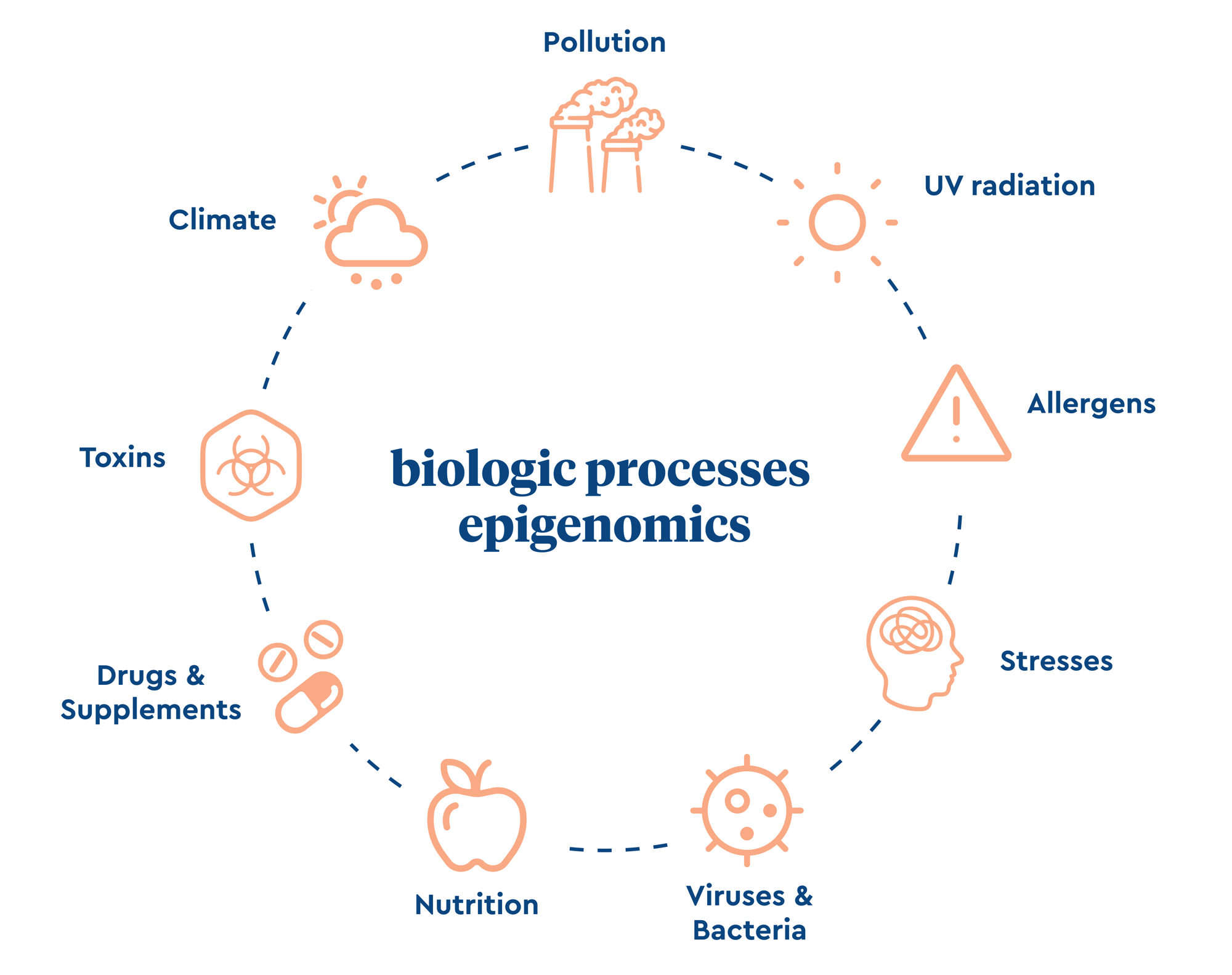 Exposome_v2.1-1